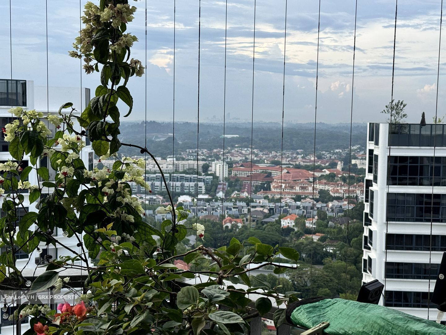 D'Leedon (D10), Condominium #556650701